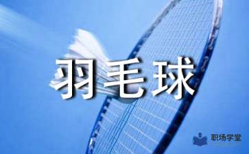 大学羽毛球比赛策划书